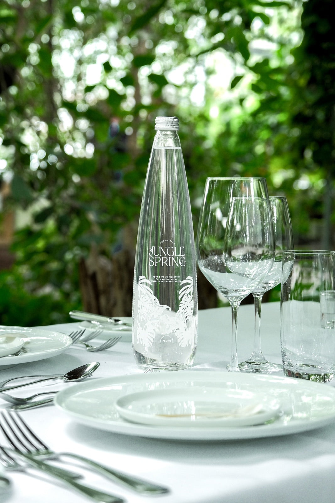 Jungle Spring Sin Gas